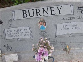 Essie Mae Johns Burney Essie Mae Johns Burney