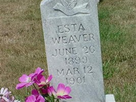 Esta Weaver Esta Weaver