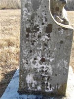 Estell Runnels