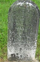 Estella Collins