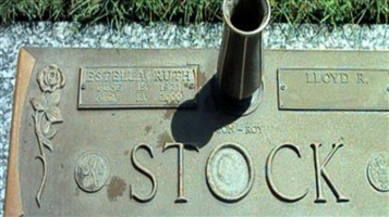 Estella Ruth Stock