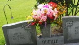 Estelle Dupree