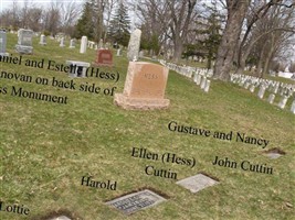 Estelle M Hess Donovan Estelle M Hess Donovan