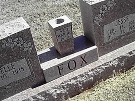 Estelle Unknown Fox