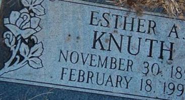 Ester A Knuth