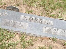 Ester A Norris Ester A Norris