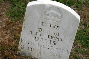 Ester Davis