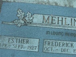 Esther Mehling Esther Mehling