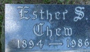 Esther S Chew