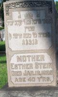 Esther Shaffer Stein