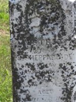 Esther W Sidwell Sheppard Esther W Sidwell Sheppard