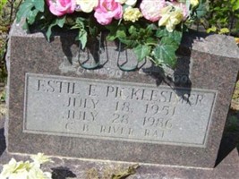 Estil E. Picklesimer