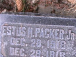 Estus M Packer, Jr