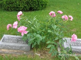 Ethel Freda Depew Murray