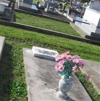 Ethel Lanora Evans Wynn Ethel Lanora Evans Wynn