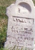 Ethel Lenore Waring