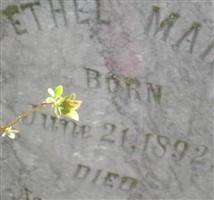 Ethel Marie Reinhart