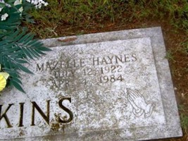 Ethel Mazelle Haynes Jenkins Ethel Mazelle Haynes Jenkins
