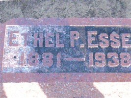 Ethel P Essex