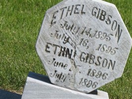 Ethin Gibson Ethin Gibson