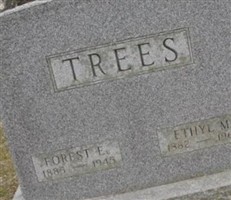 Ethyl M Trees