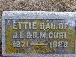 Ettie P Curl Ettie P Curl