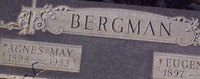 Eugene E Bergman