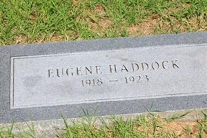 Eugene Haddock