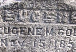 Eugene M Cole