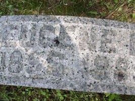 Eugene Webber Eugene Webber