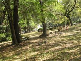 Eugenia Cemetery