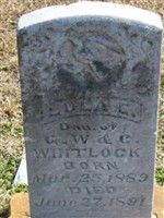 Eula E Whitlock Eula E Whitlock