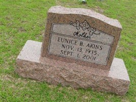 Eunice B Akins