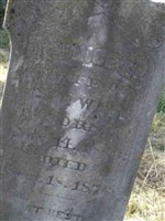 Eunice E.(Elizabeth) Tichenor Wall Eunice E.(Elizabeth) Tichenor Wall