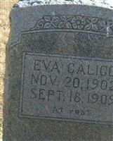 Eva Calico