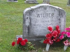 Eva D Wilber Eva D Wilber