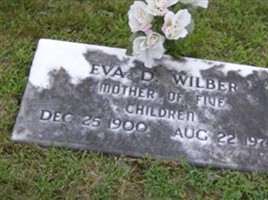 Eva D Wilber Eva D Wilber