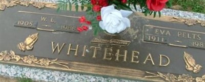 Eva Pelts Whitehead Eva Pelts Whitehead