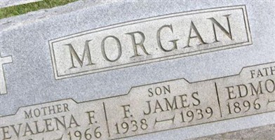 Evalena F Morgan