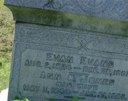 Evan Evans