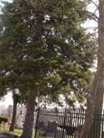 Saint John Evangelical Lutheran Church Cemetery