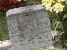 Evangelina Pena