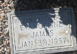 Evangeline James