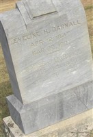 Eveline H Darnall