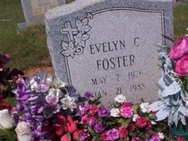 Evelyn Christine Stone Foster