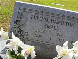 Evelyn Hamilton Small
