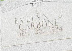 Evelyn J Carbone