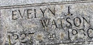 Evelyn J Watson