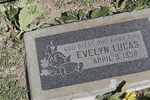 Evelyn Lucas Evelyn Lucas
