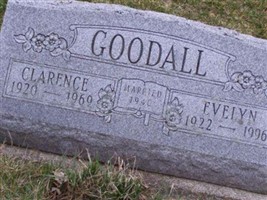 Evelyn Potter Goodall